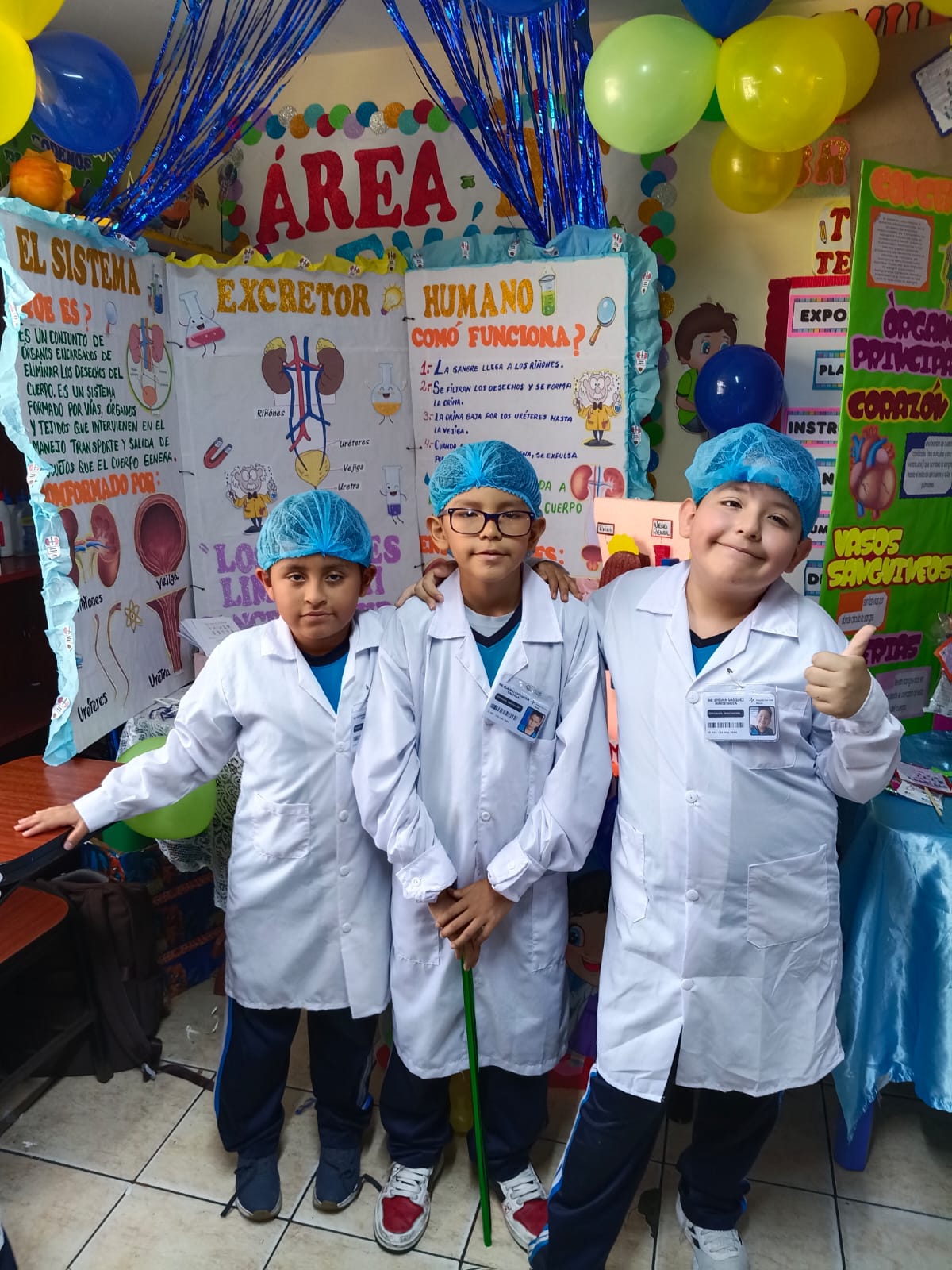 Primaria
